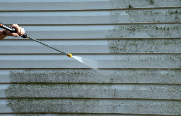 Mold Removal Process in Bethany, IL